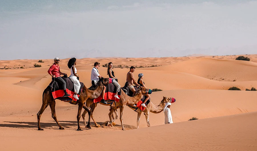 Camel Trekking Dubai
